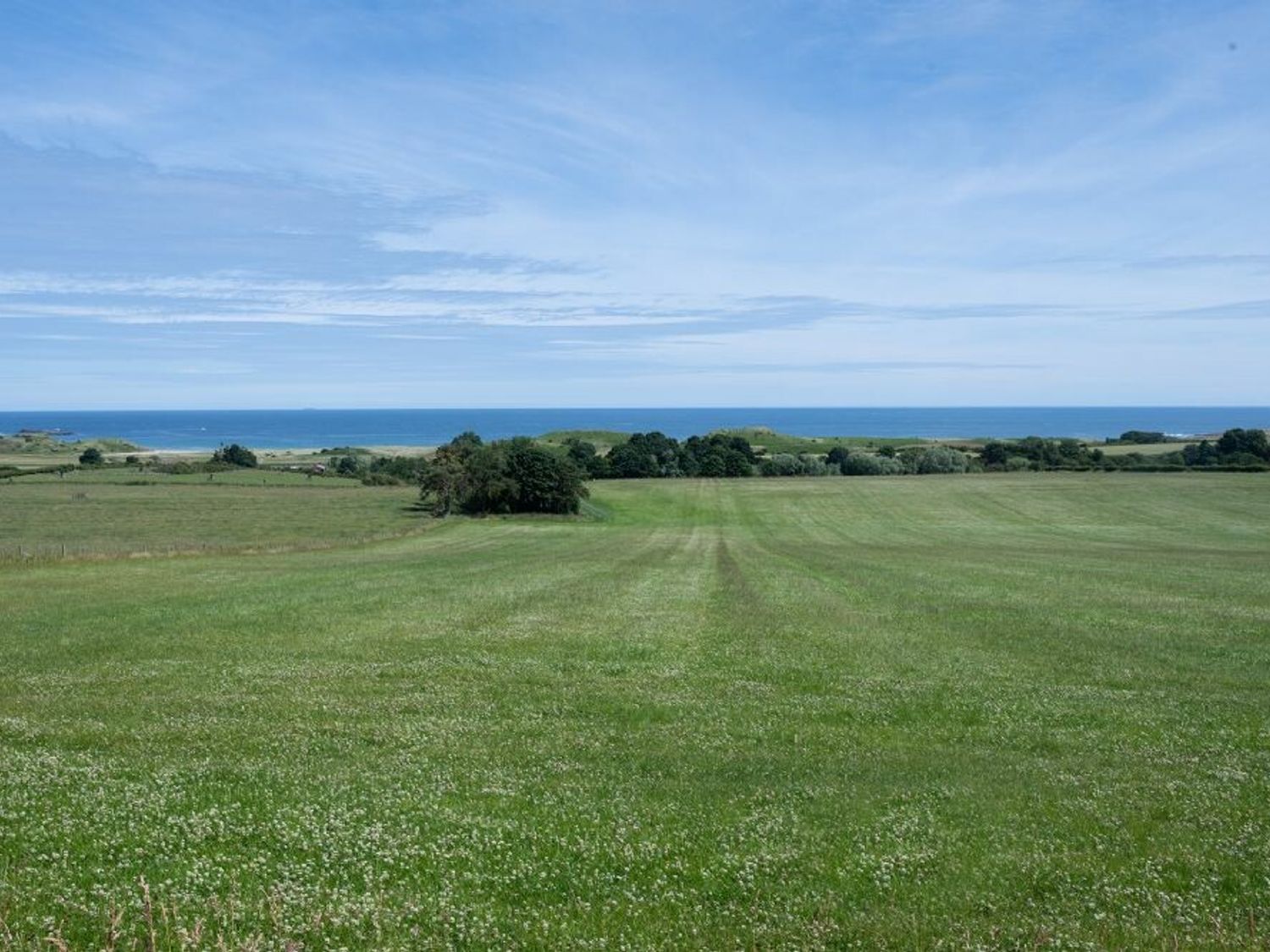 Fidra                     photo 12