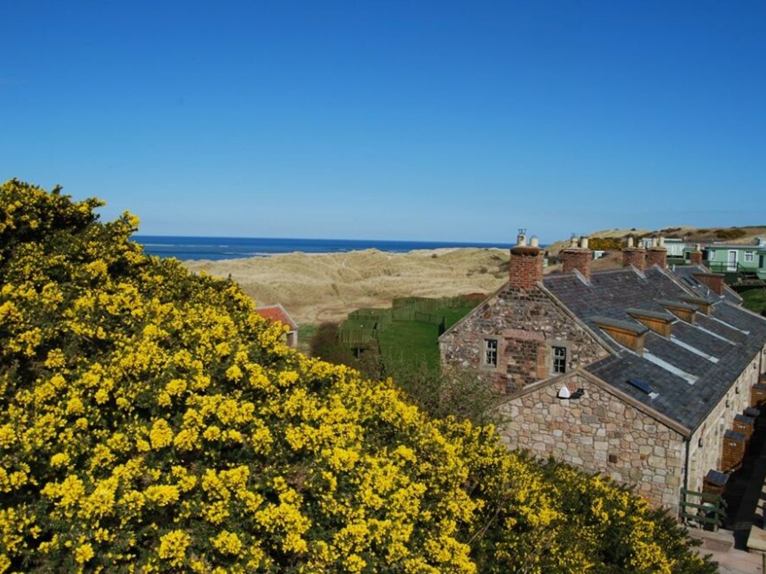 Heather Cottages - Plover                     photo 18