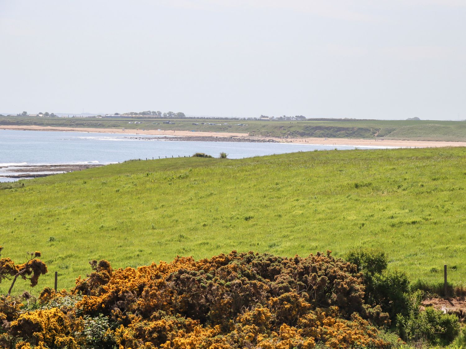 Seaview (Howick)                     photo 35