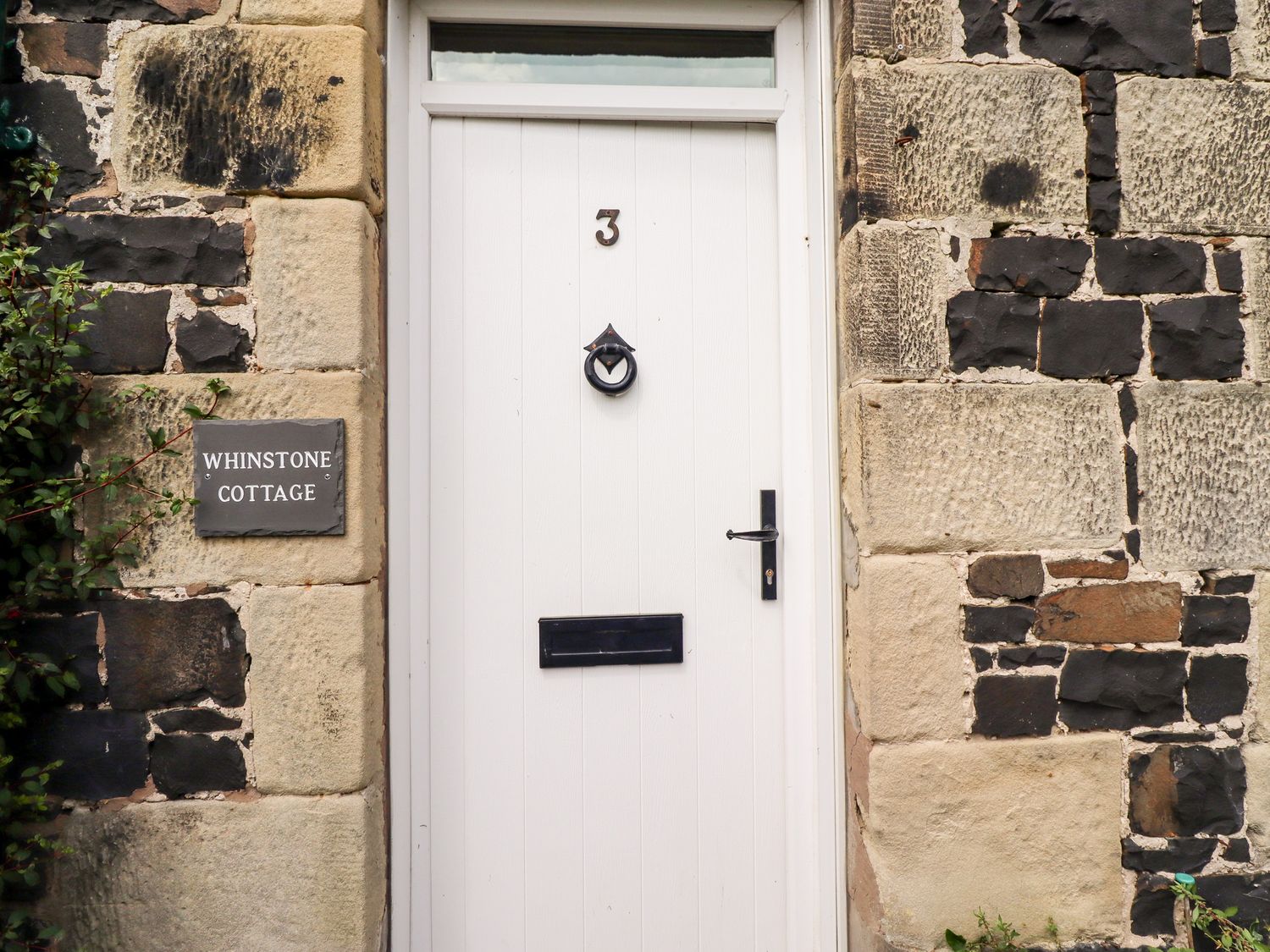 Whinstone (Bamburgh)                     photo 2