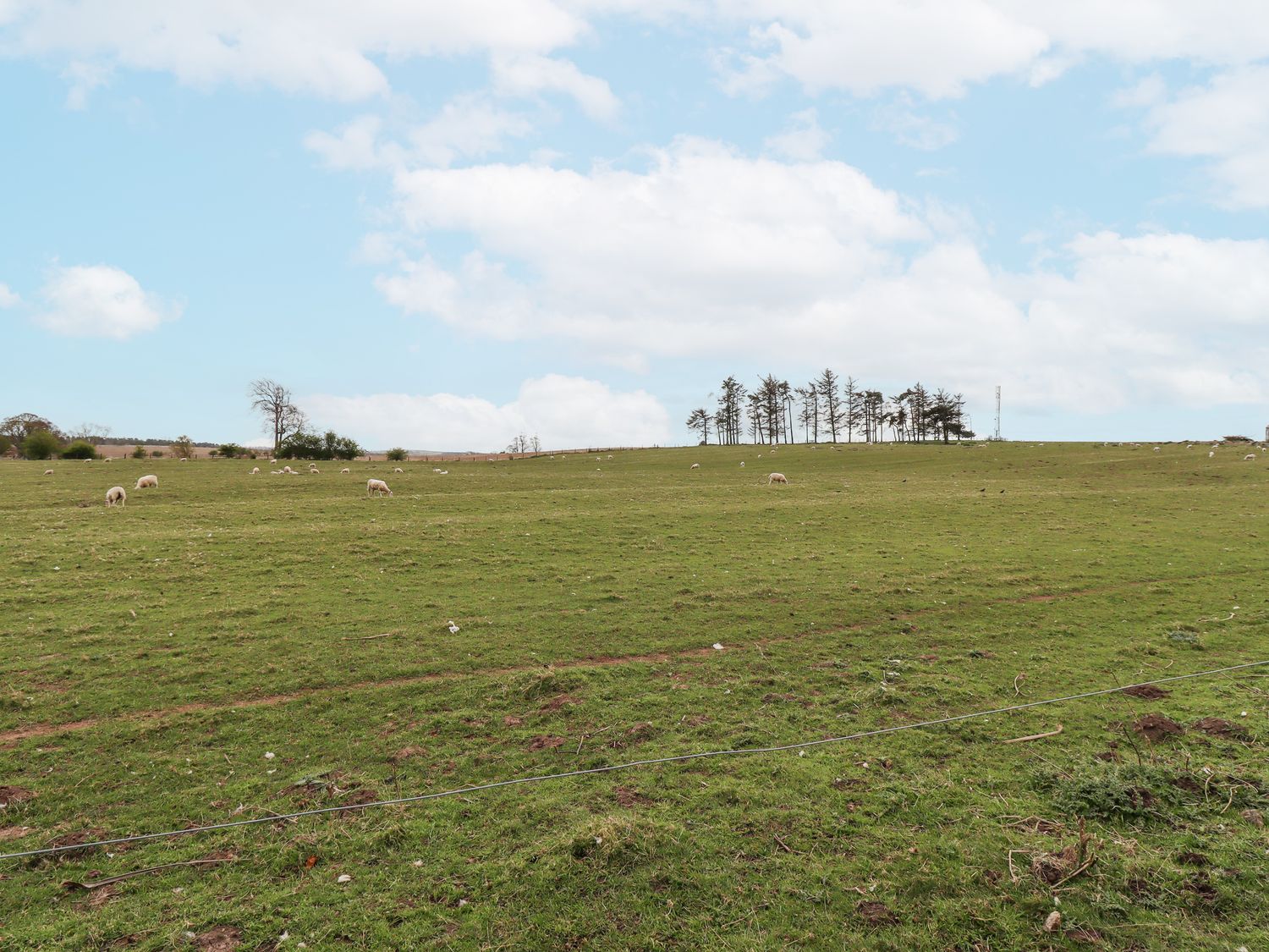 Adderstone Cottage photo 33