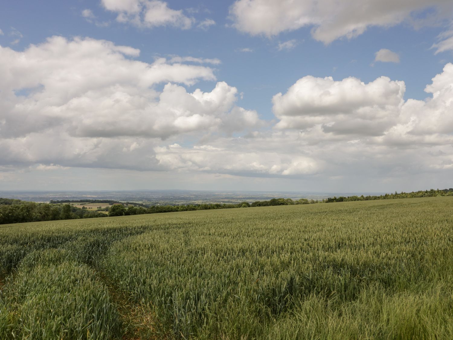 A large field with green crops under a cloudy sky at Ashton House in Blockley