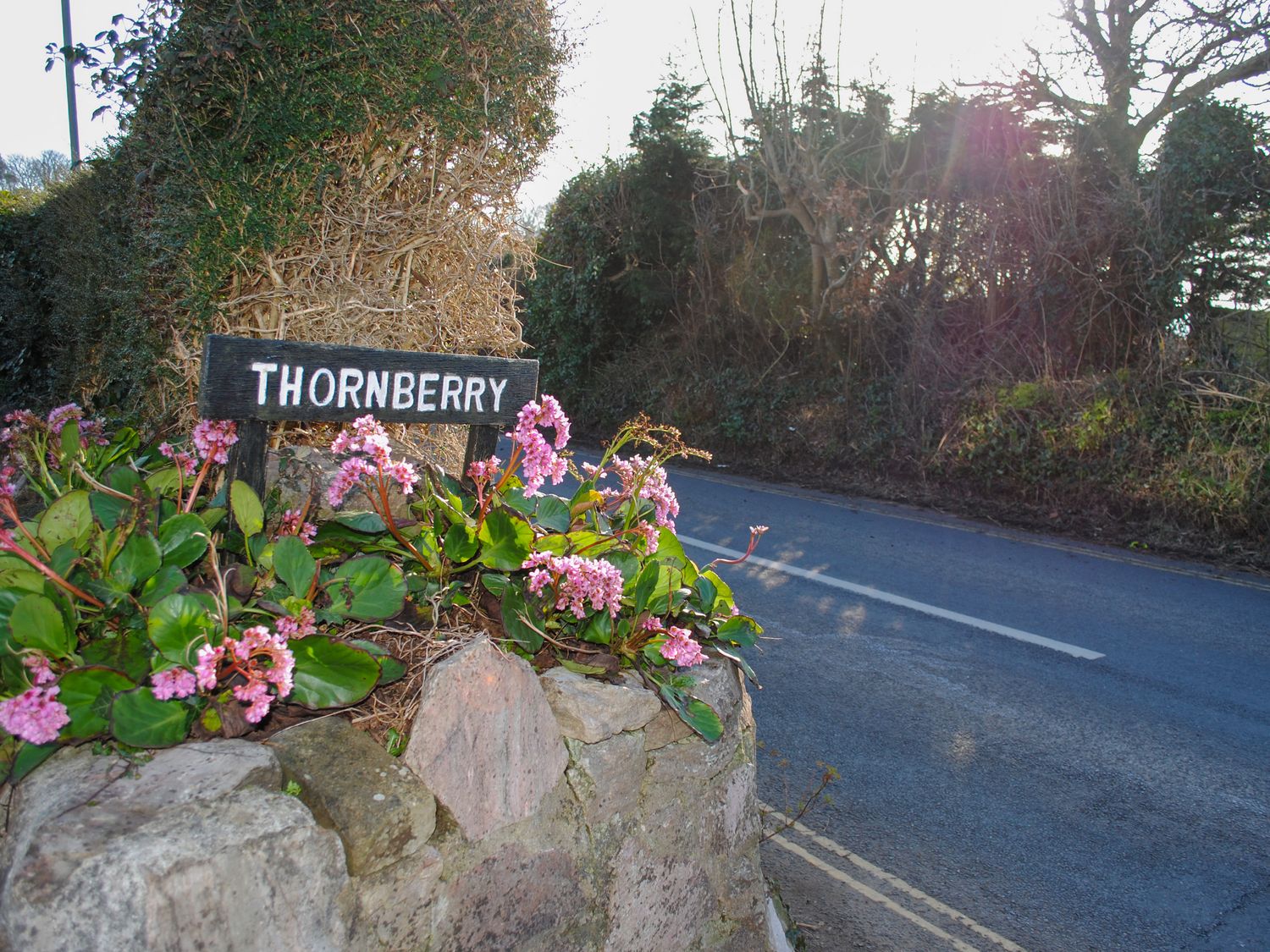 Thornberry                     photo 2