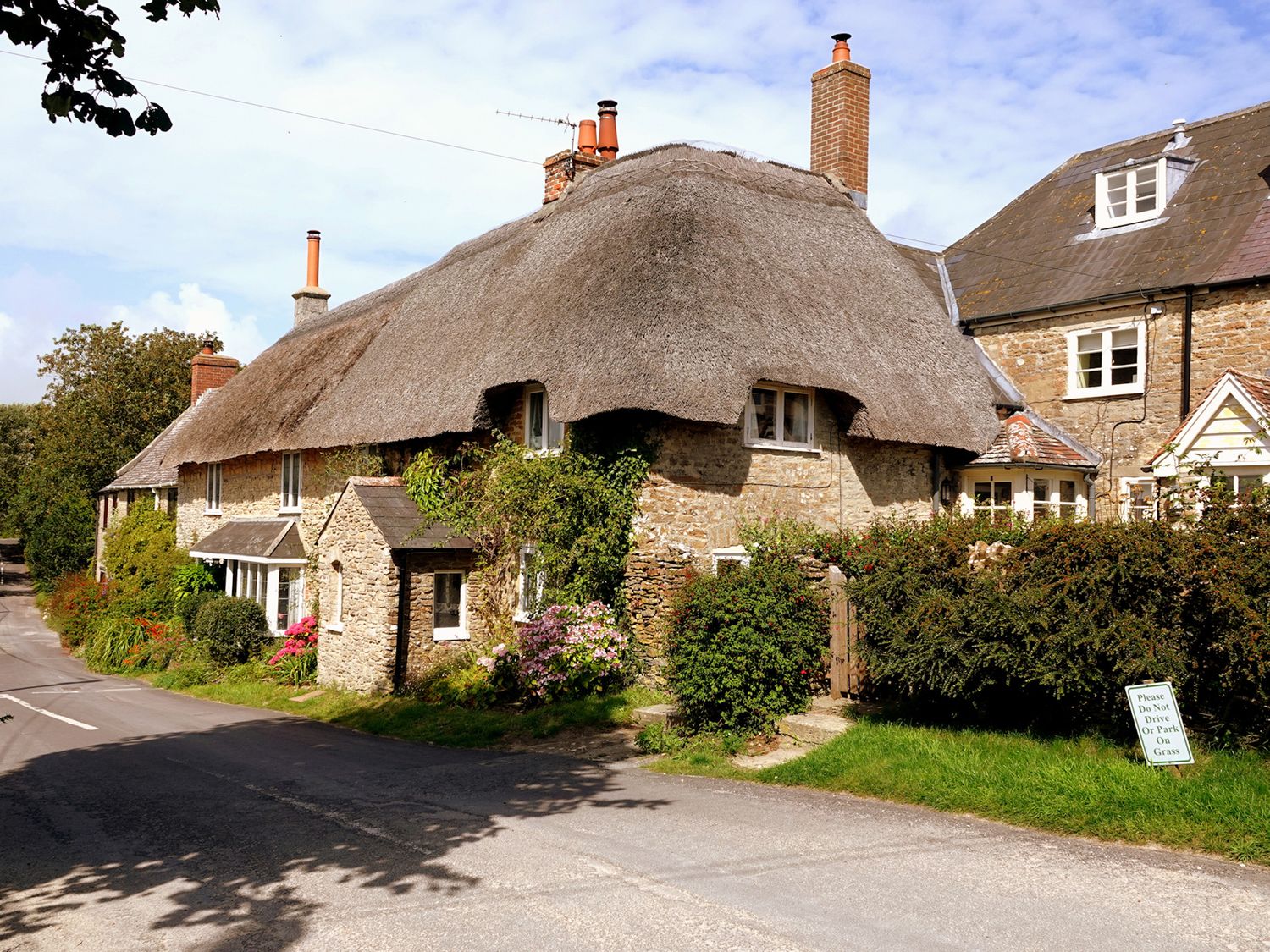 Badgers Cottage - Dorset - 1123272 - photo 1
