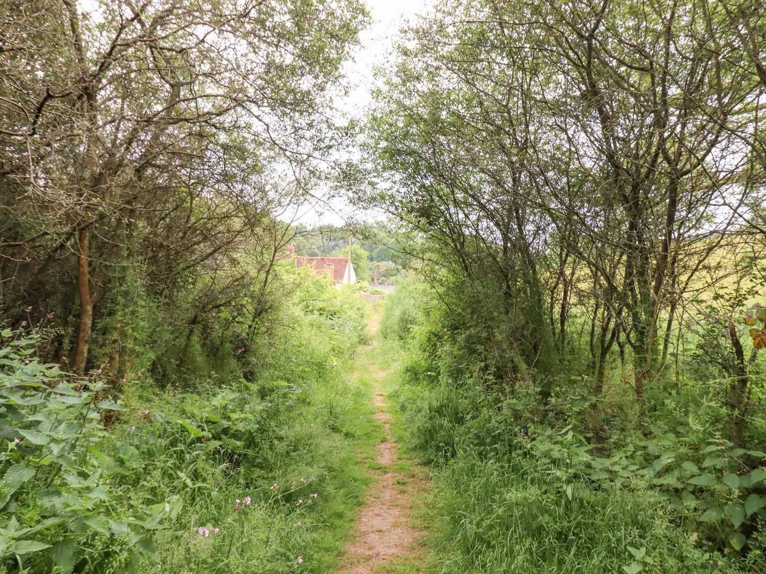 The Granary                     photo 31