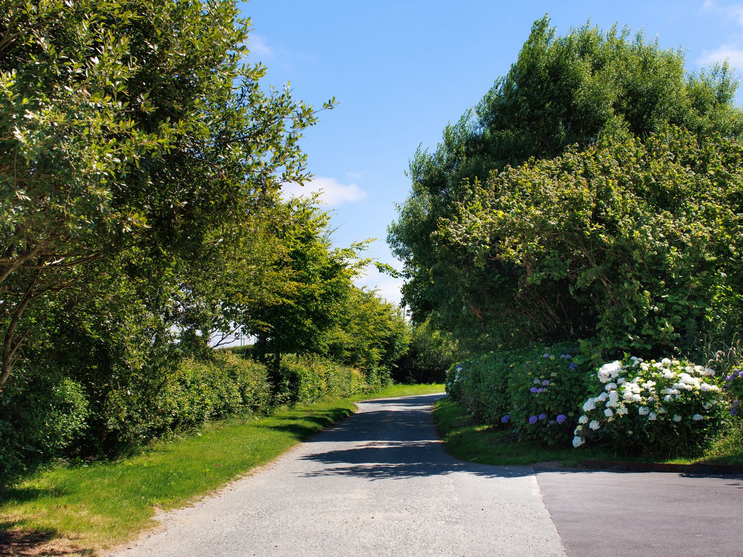 A paved road with grass and bushes on both sides under a blue sky at Penmarlam Lodge Retreat 12 in Bodinnick