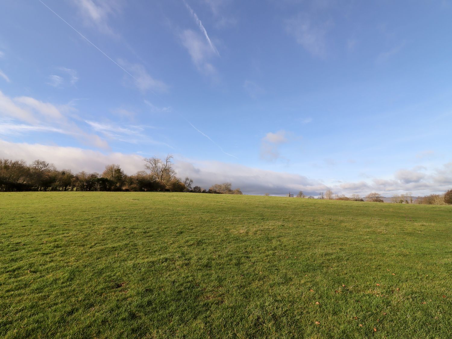 A grassy field with trees and bushes under a blue sky at Wick Court Farm in Arlingham near Frampton On Severn