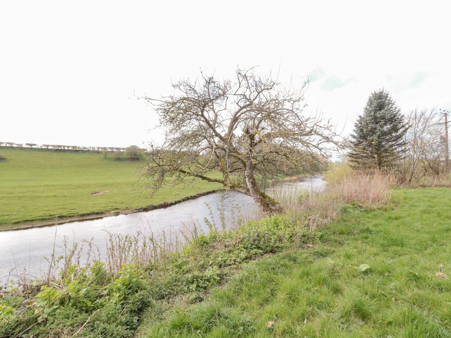 Whiteadder Bank                     photo 49