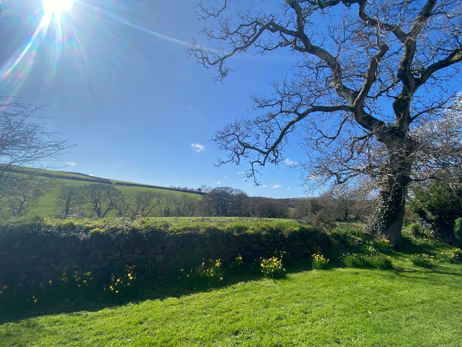Meadow View                     photo 32