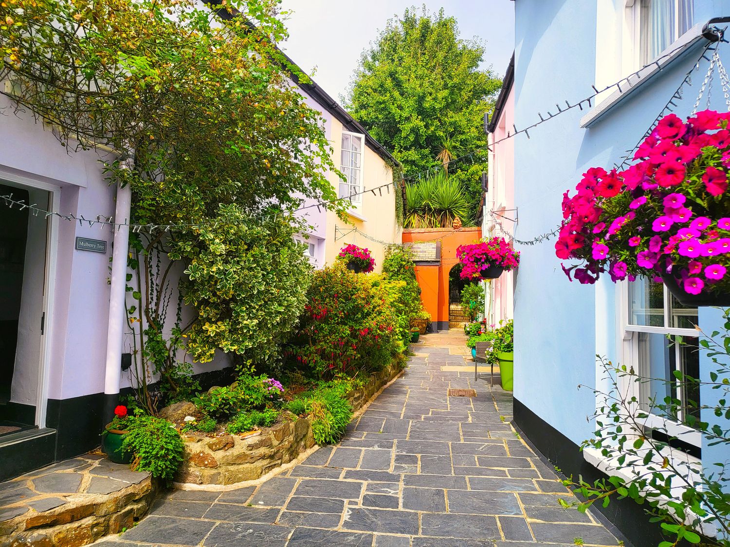 Apple Tree Cottage                     photo 2