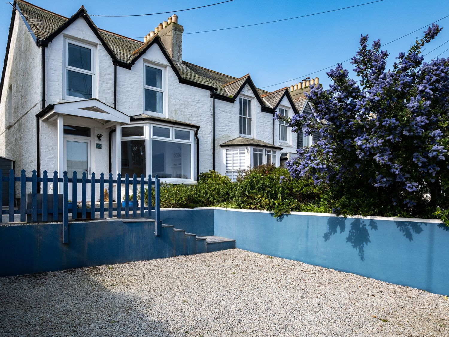 The Porthole, Port Isaac Holiday Cottage Bird Spot