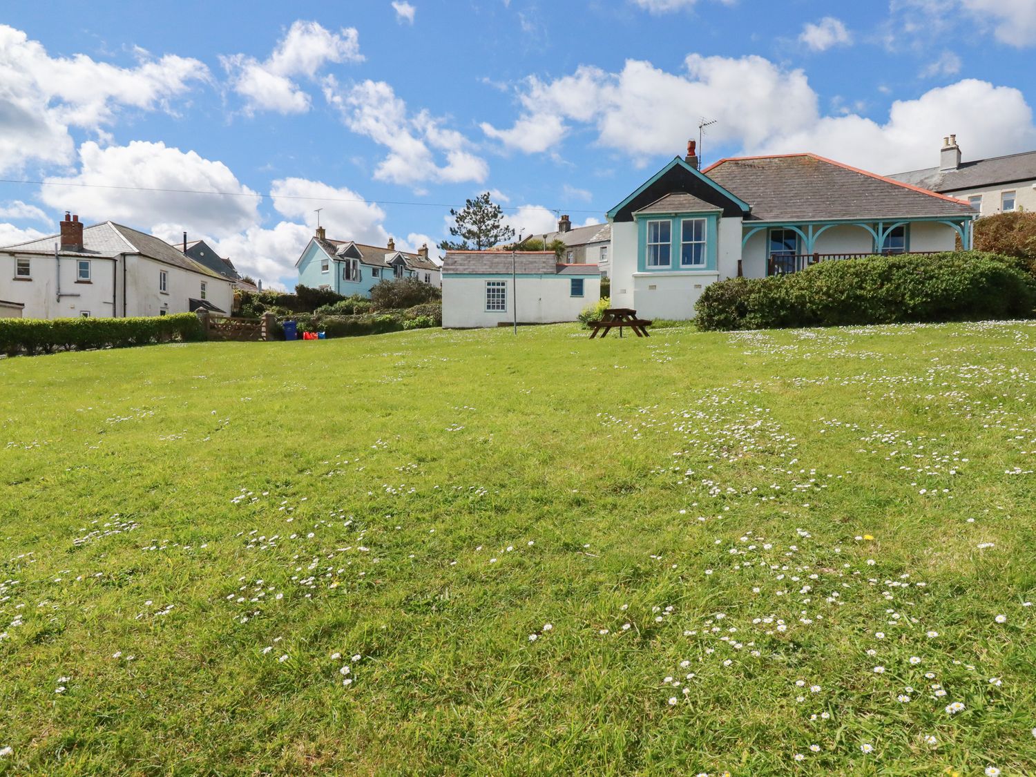 A grassy yard with daisies and a picnic table in front of small houses at Beachcliff in Gorran Haven