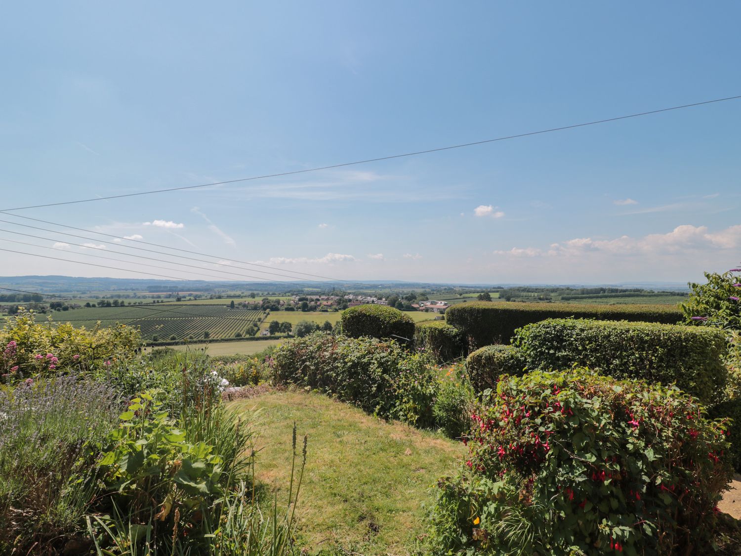 A garden with shrubs and flowers overlooking fields and hills at Stonecutter's Cottage in Stoke-Sub-Hamdon Somerset