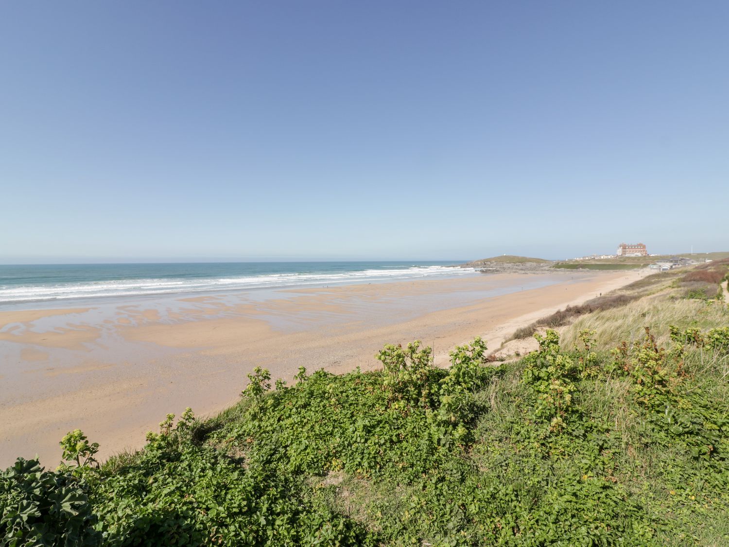 Fistral Pearl                     photo 31