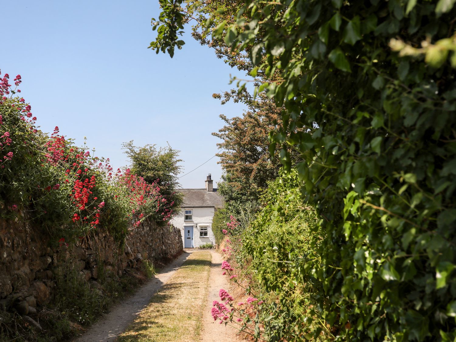 Tan Y Fynwent - North Wales - 1129254 - photo 1