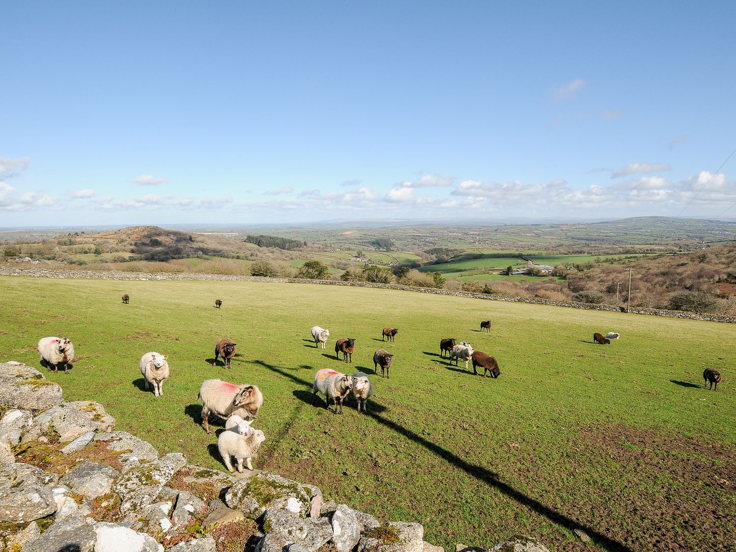 Cheesewring Cottage                     photo 29