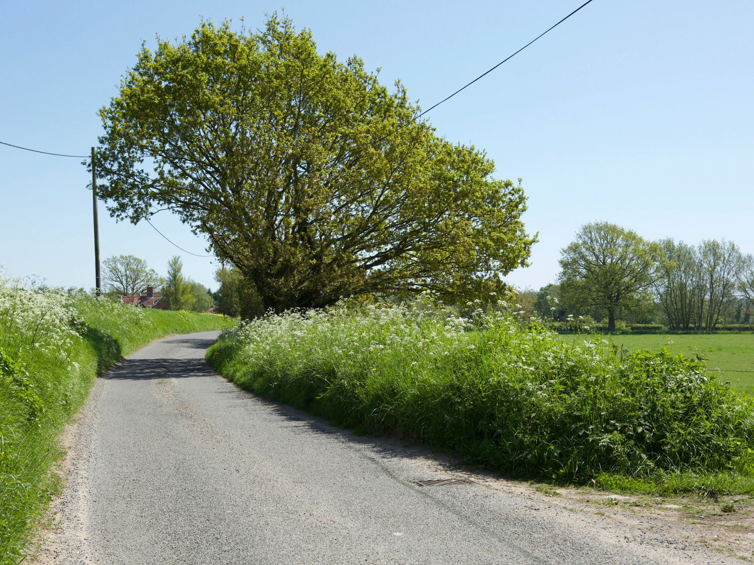 Water Meadow Cottage                     photo 15