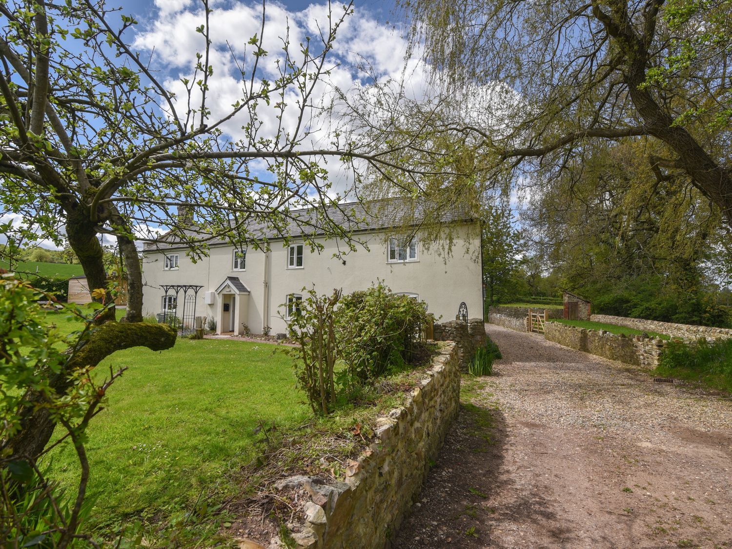 Millwater Cottage - Devon - 1133593 - photo 1