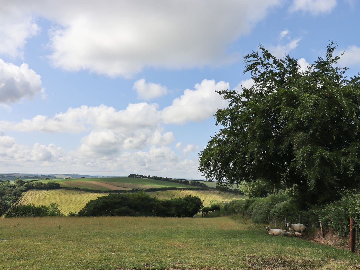 Waytown Cottage                     photo 47