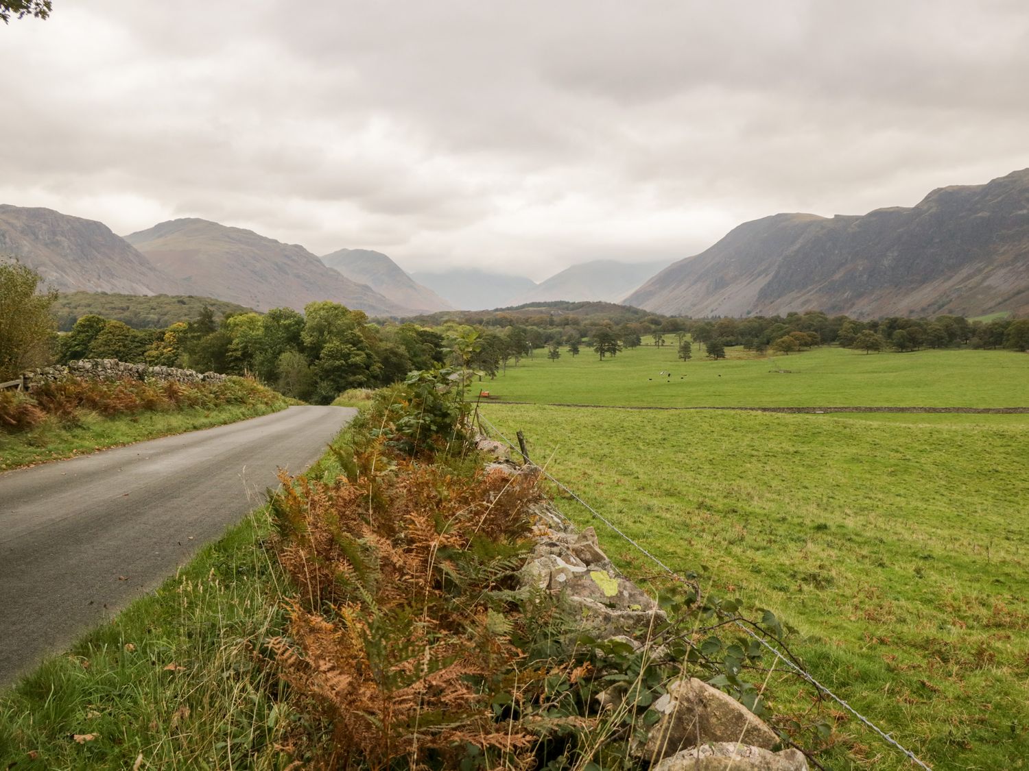 Vale View photo 43