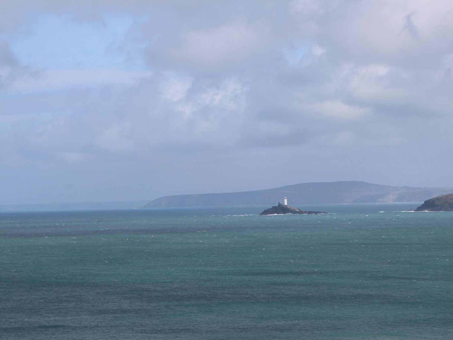 Cornish Pearl                     photo 31