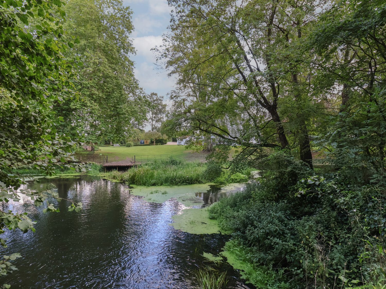 A river with green plants along the banks and trees surrounding a grassy area at Syleham House in Syleham near Eye