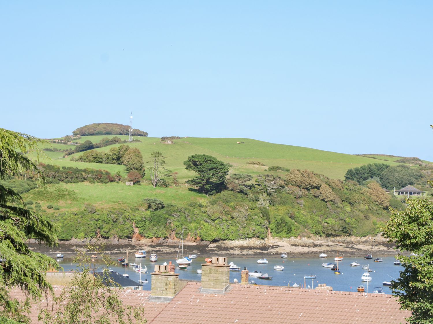 3 Bonaventure Close                     photo 25