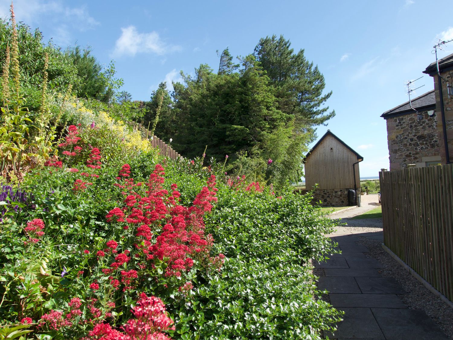 The Coach House                     photo 30