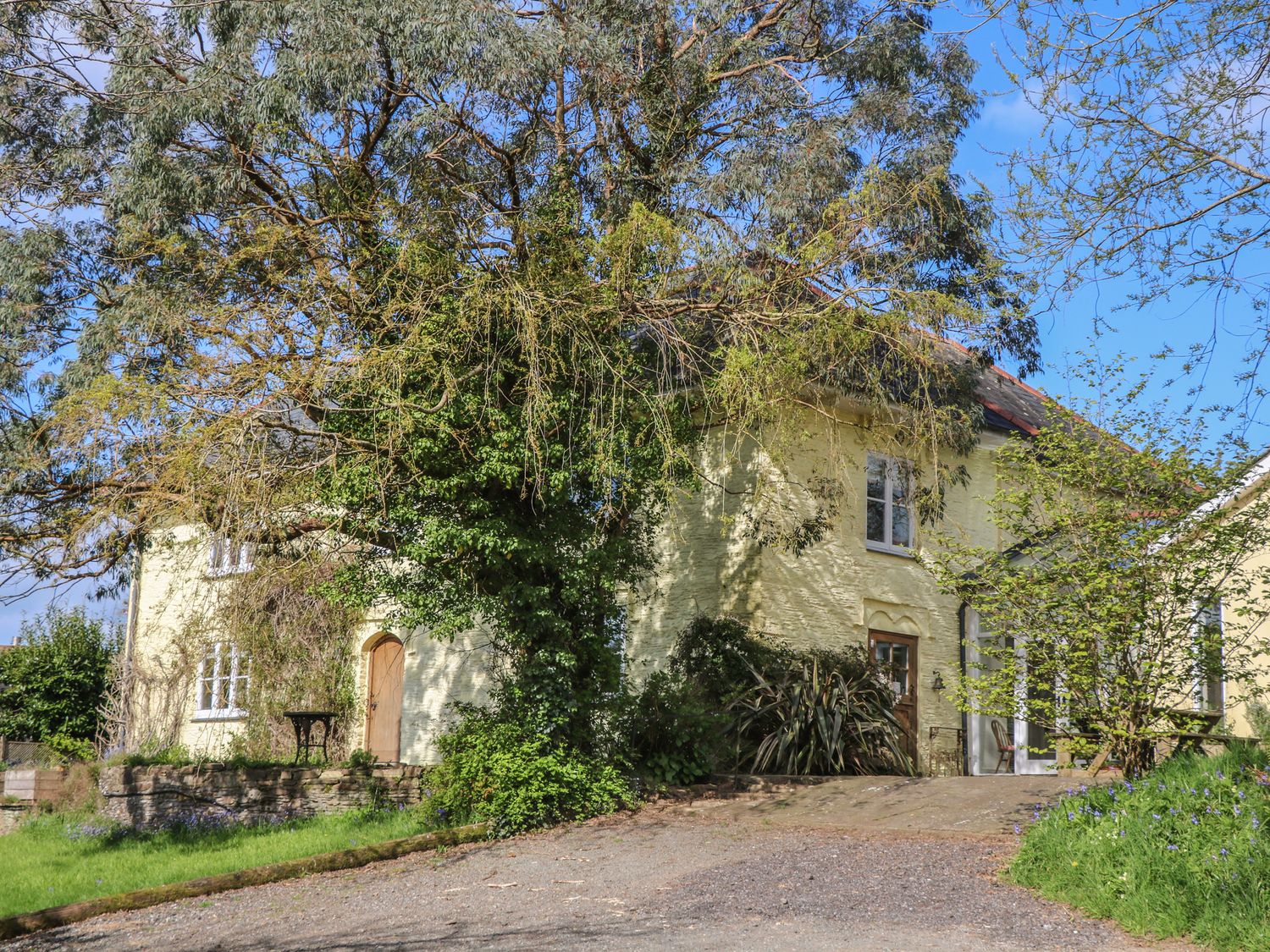 Gripstone Farmhouse - Devon - 1142527 - photo 1