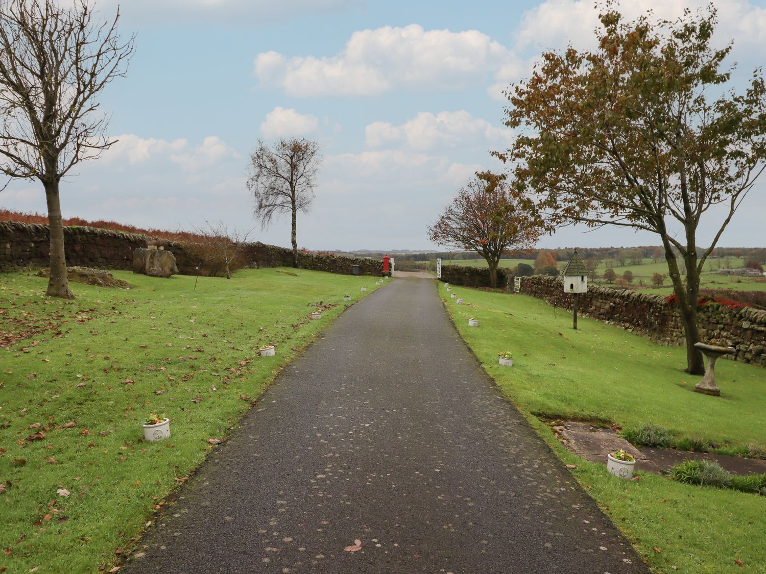High Shaftoe                     photo 29