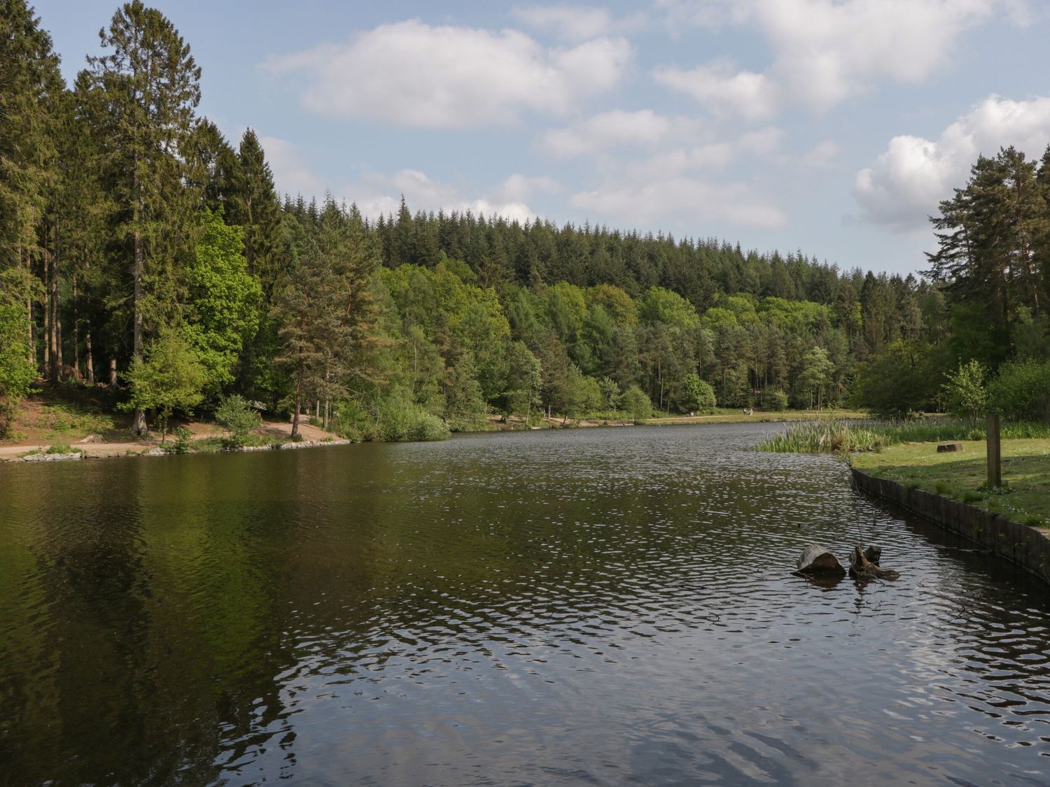 A lake surrounded by dense forest and trees under a partly cloudy sky