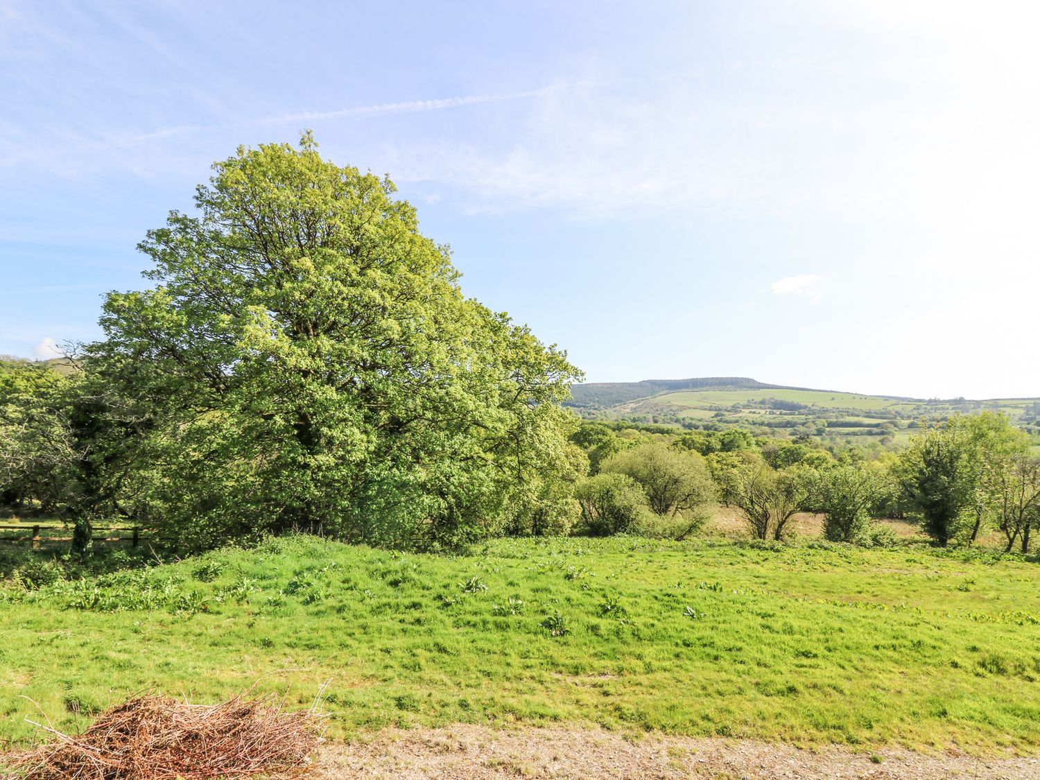 A field with green grass and trees with hills in the background at Thatched Cottage in Llanybydder