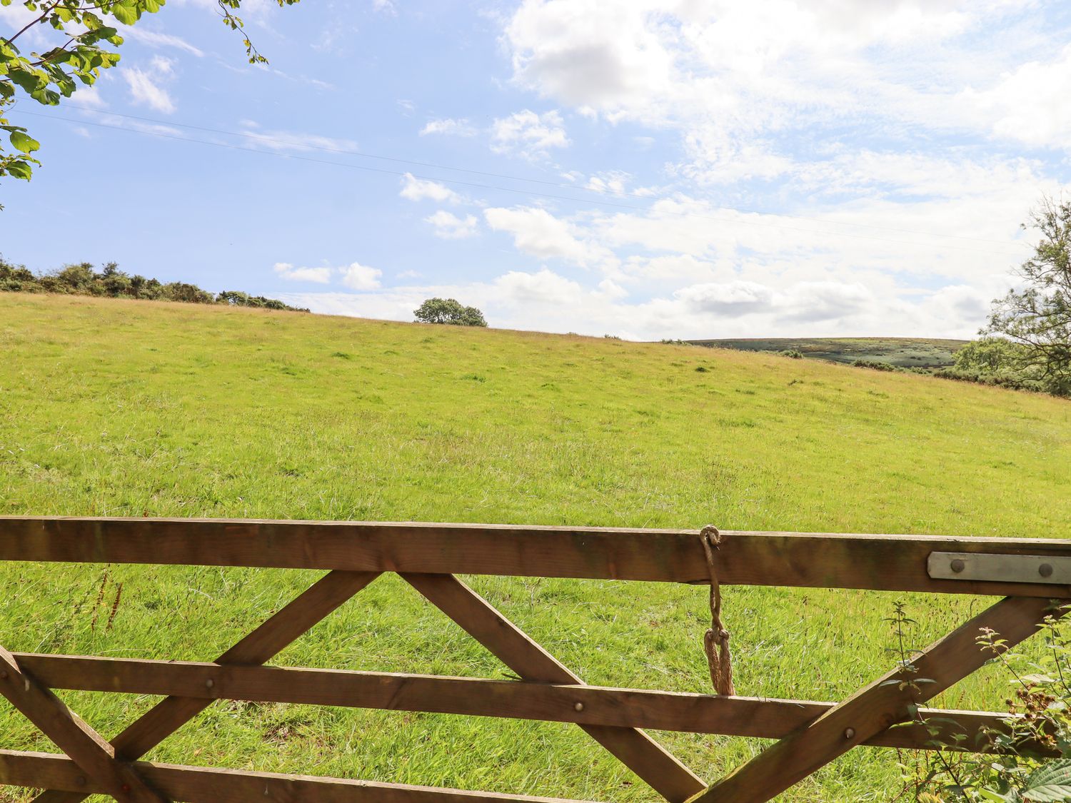 Lingcombe Barn                     photo 34