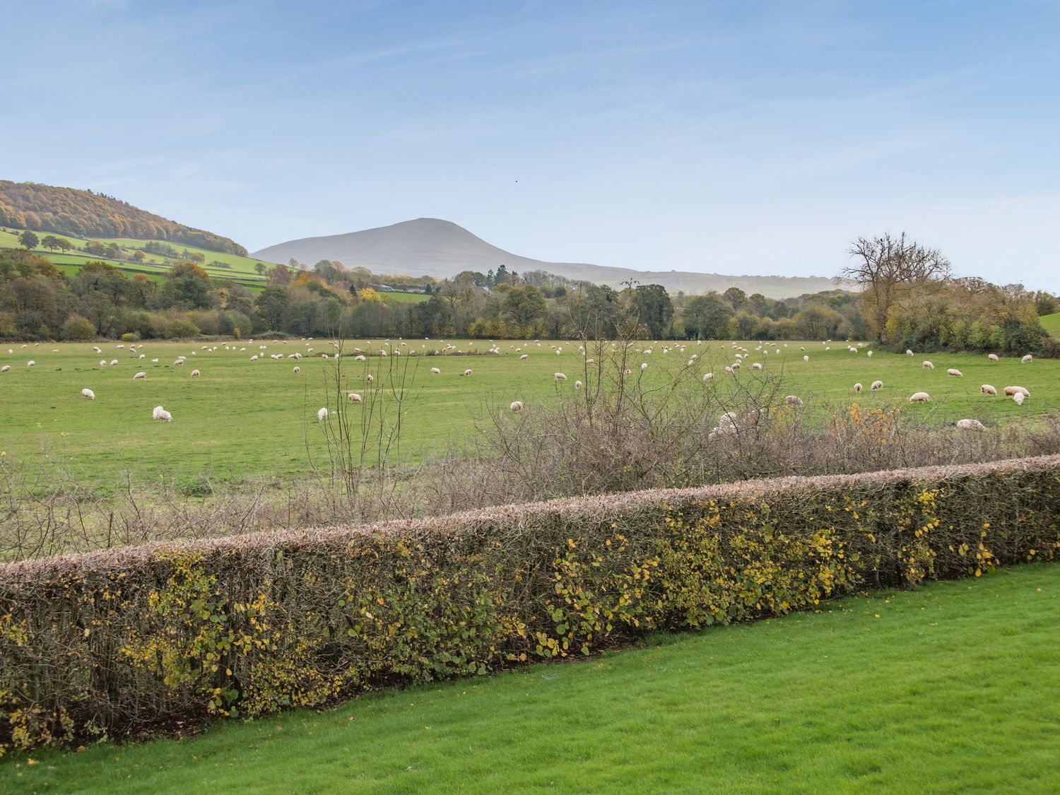 Country Cottage                     photo 2