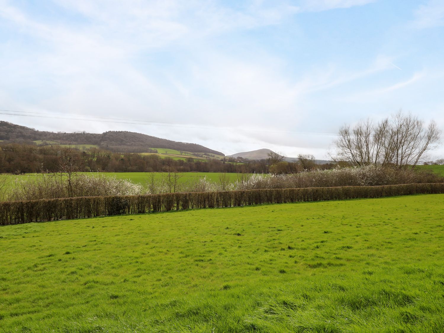 Country Cottage                     photo 23