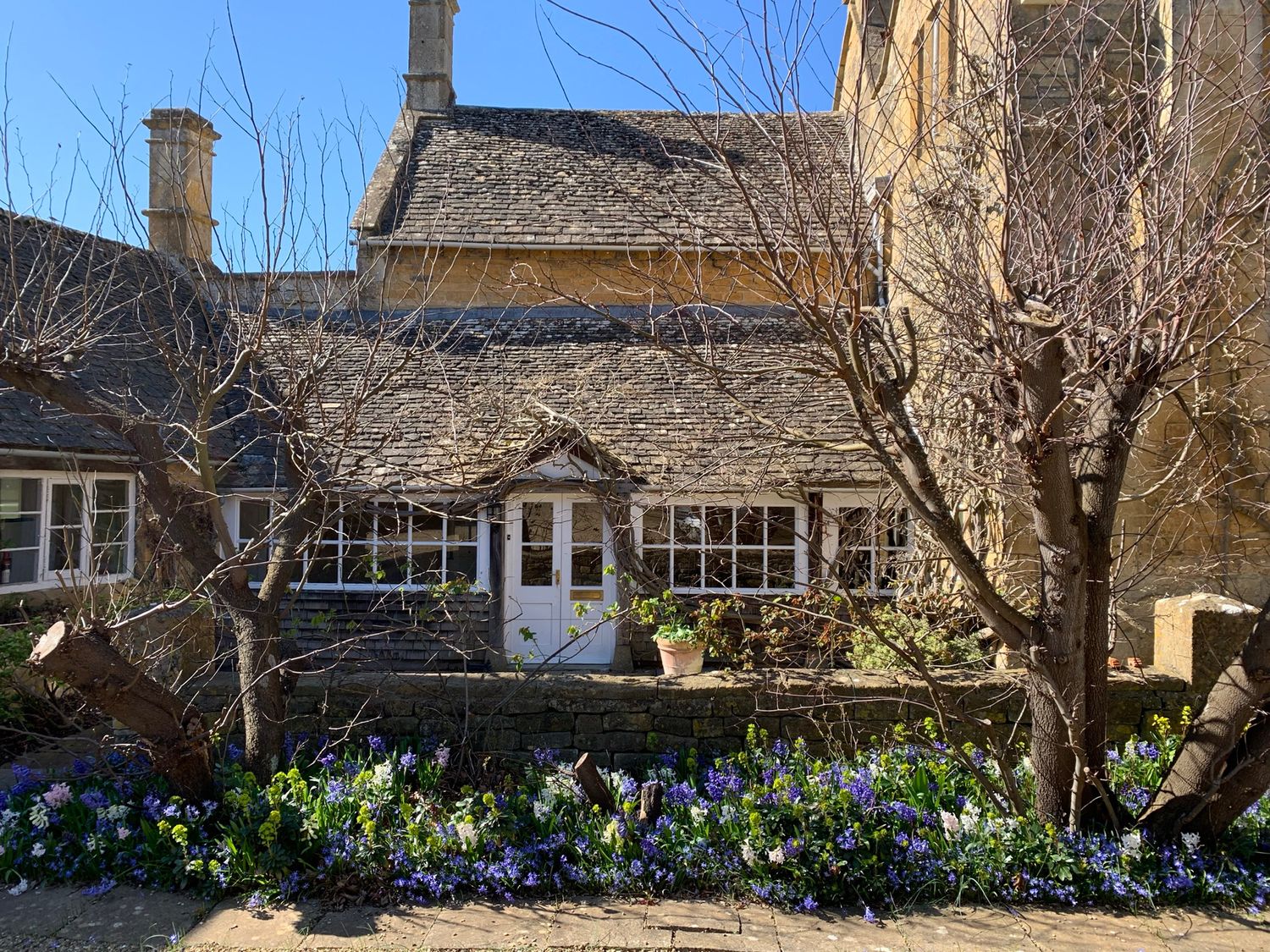 A stone house with white-framed windows and door surrounded by leafless trees and purple flowers at Wood Stanway House Wood Stanway near Toddington