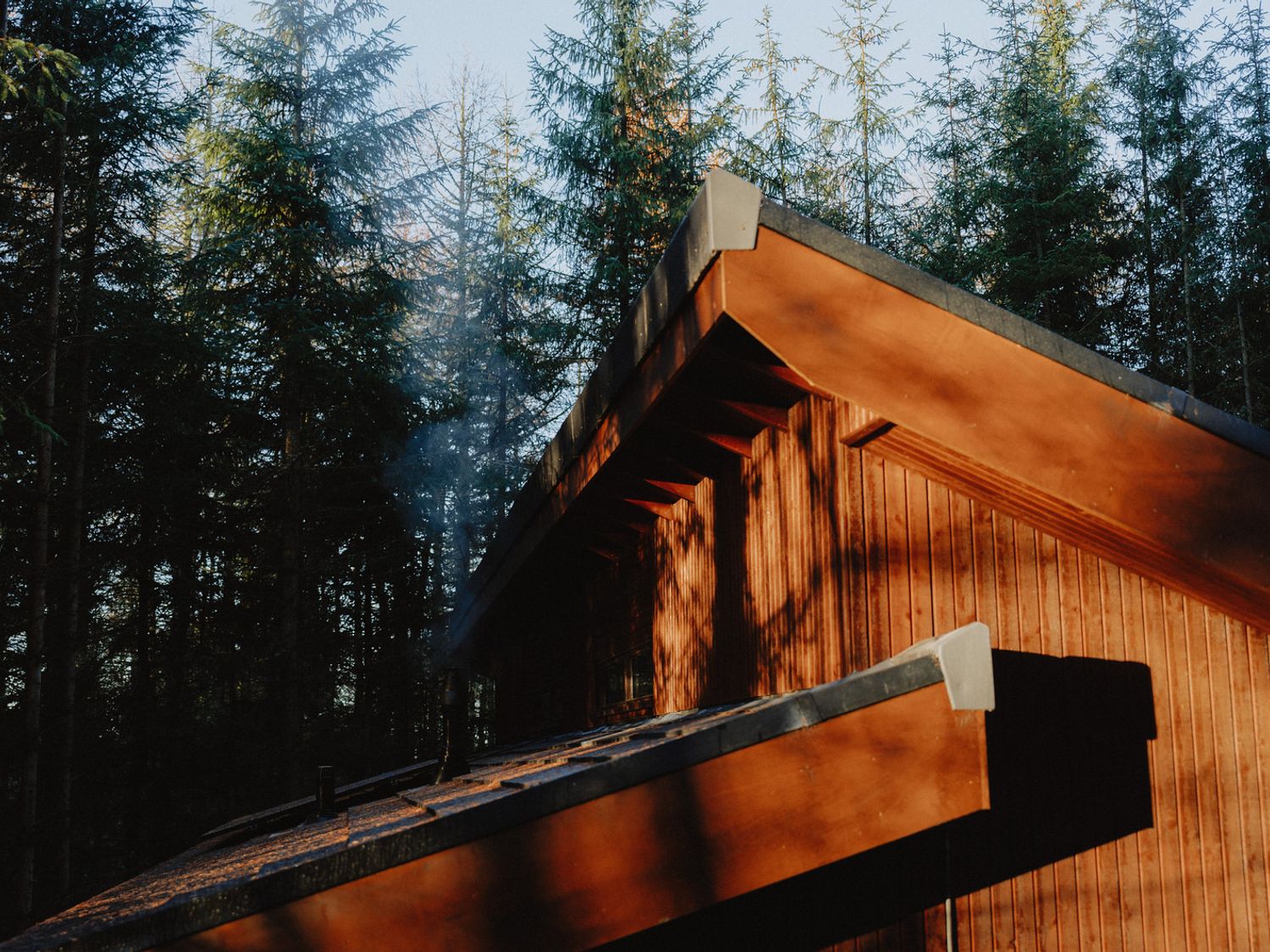 Glentress The Unfurl Treehouse - Scottish Lowlands - 1146629 - photo 1