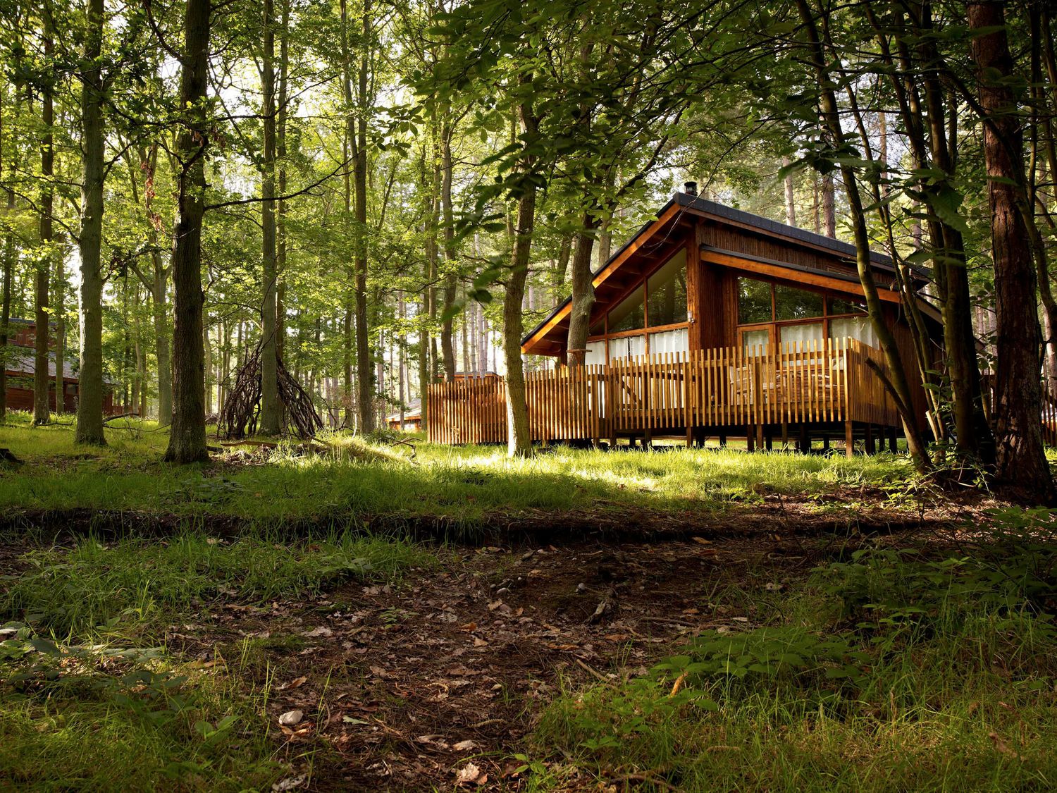 A wooden cabin surrounded by trees at Blackwood Forest Golden Oak in Blackwood Forest