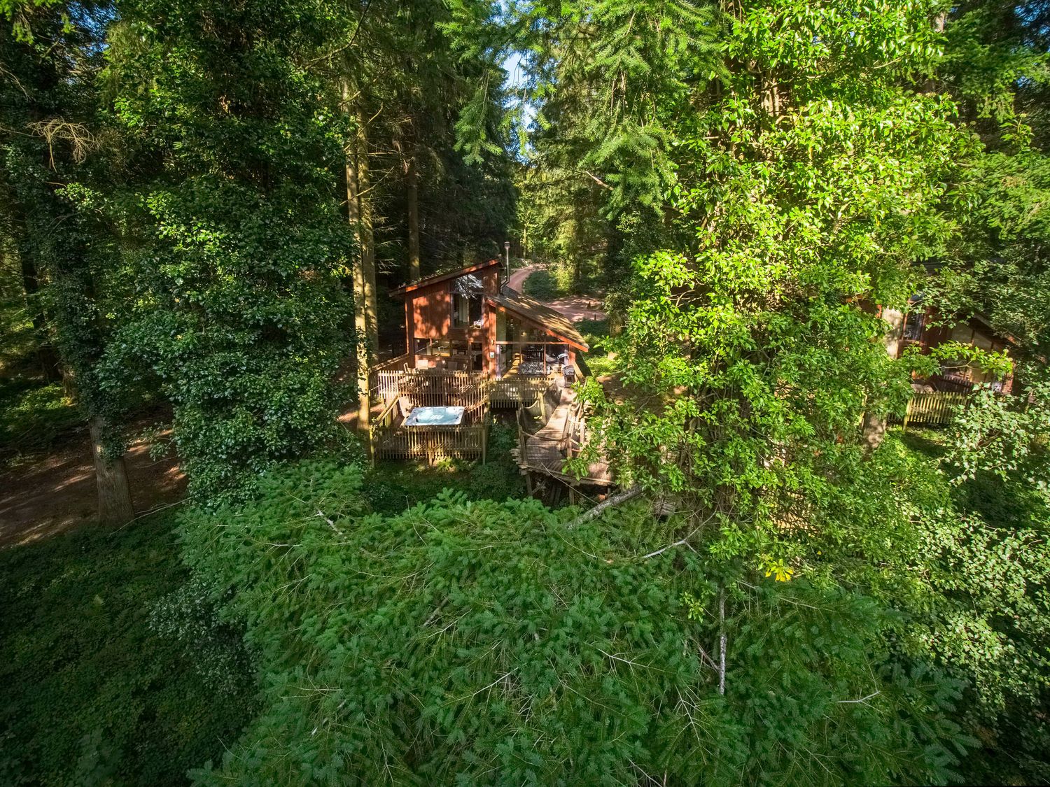 Glentress Forest Golden Oak Treehouse - Scottish Lowlands - 1146934 - photo 1