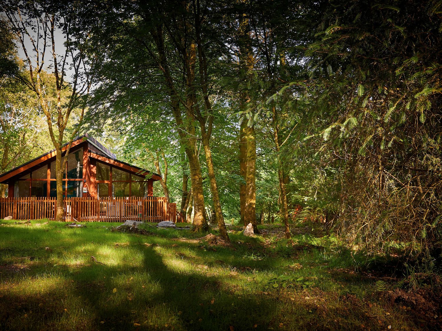 Beddgelert Golden Oak - freshly inspired design - North Wales - 1147190 - photo 1