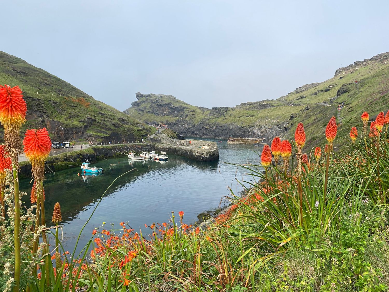 A small harbor with boats in the water surrounded by green hills and orange flowers at Brambles in Boscastle