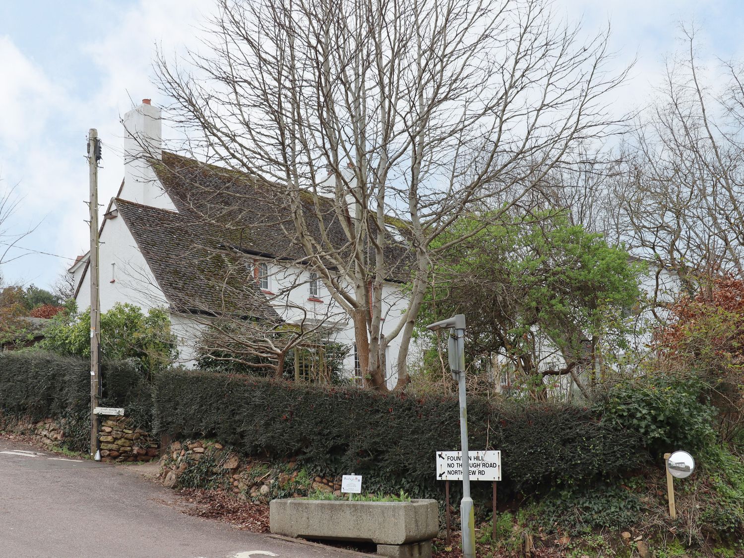 Greenhedges photo 33