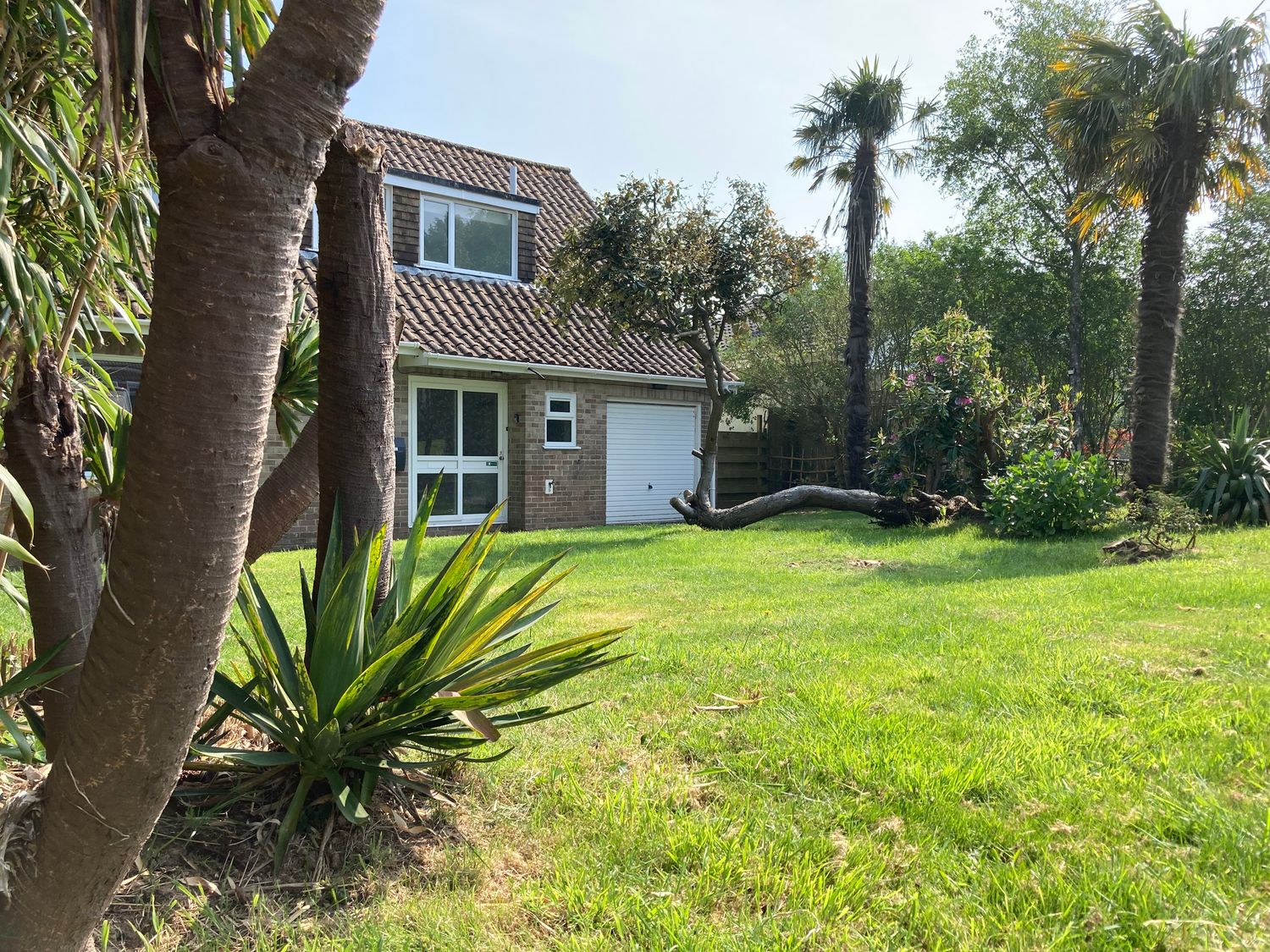A garden with palm trees and plants in front of a house with a garage at Sea Drift in Carlyon Bay near Charlestown