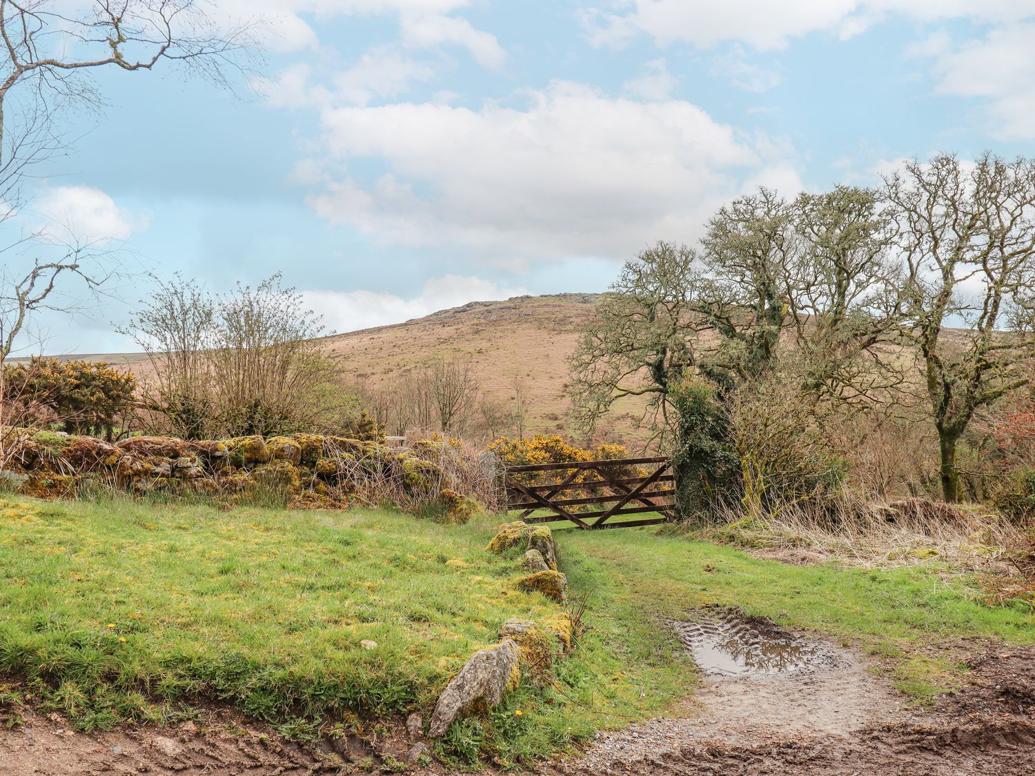 A muddy dirt path leading to a wooden gate with trees and bushes on either side and a hill in the background at Brimpts Barn Dartmeet near Princetown