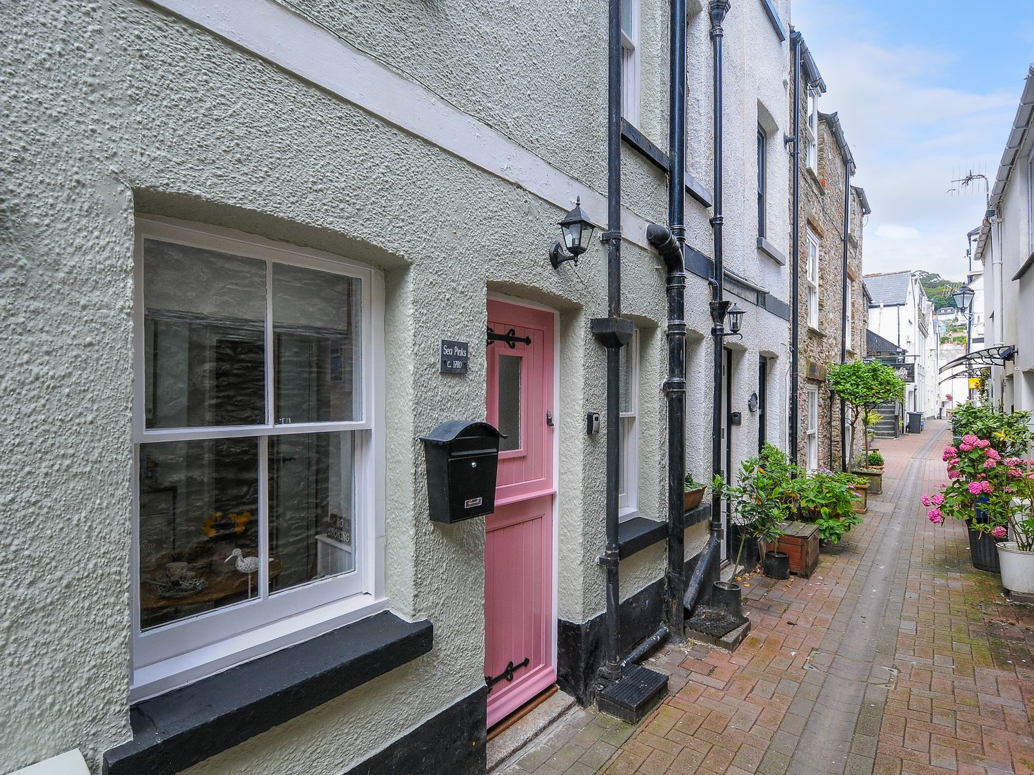 Sea Pinks - Cornwall - 1154480 - photo 1