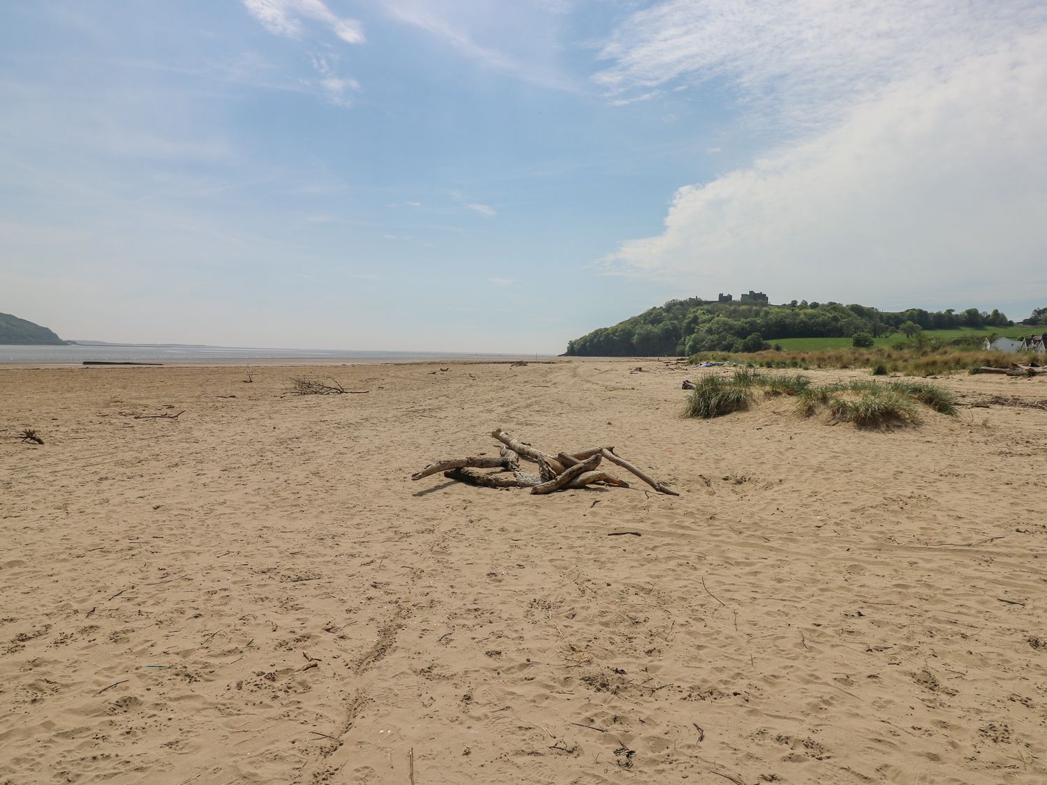 The Little Cwtch                     photo 35