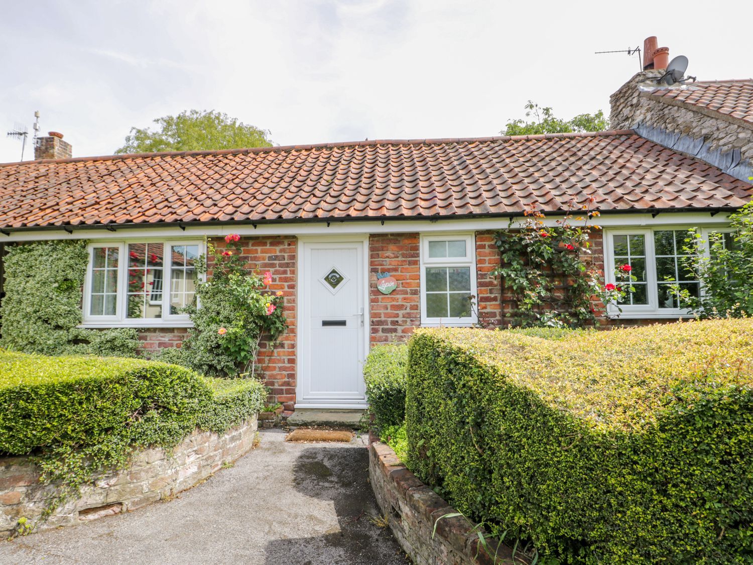 Lupin Cottage - North Yorkshire (incl. Whitby) - 1156523 - photo 1