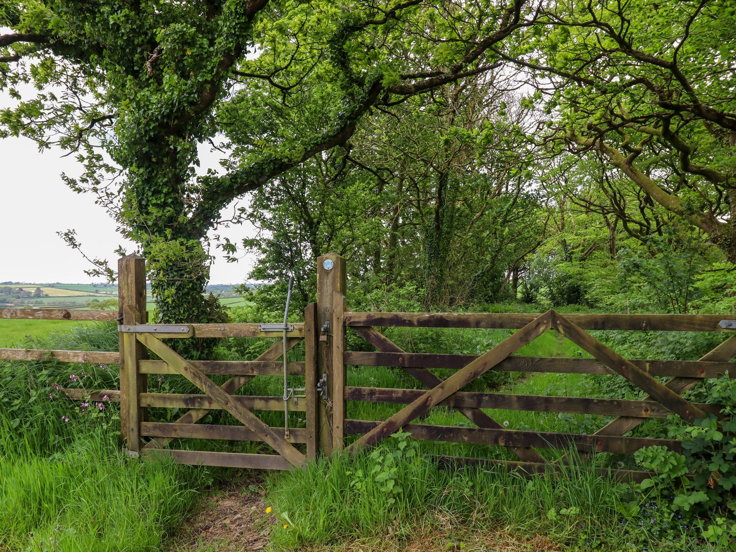 Chestnut at Moorhead Country Holidays                     photo 51