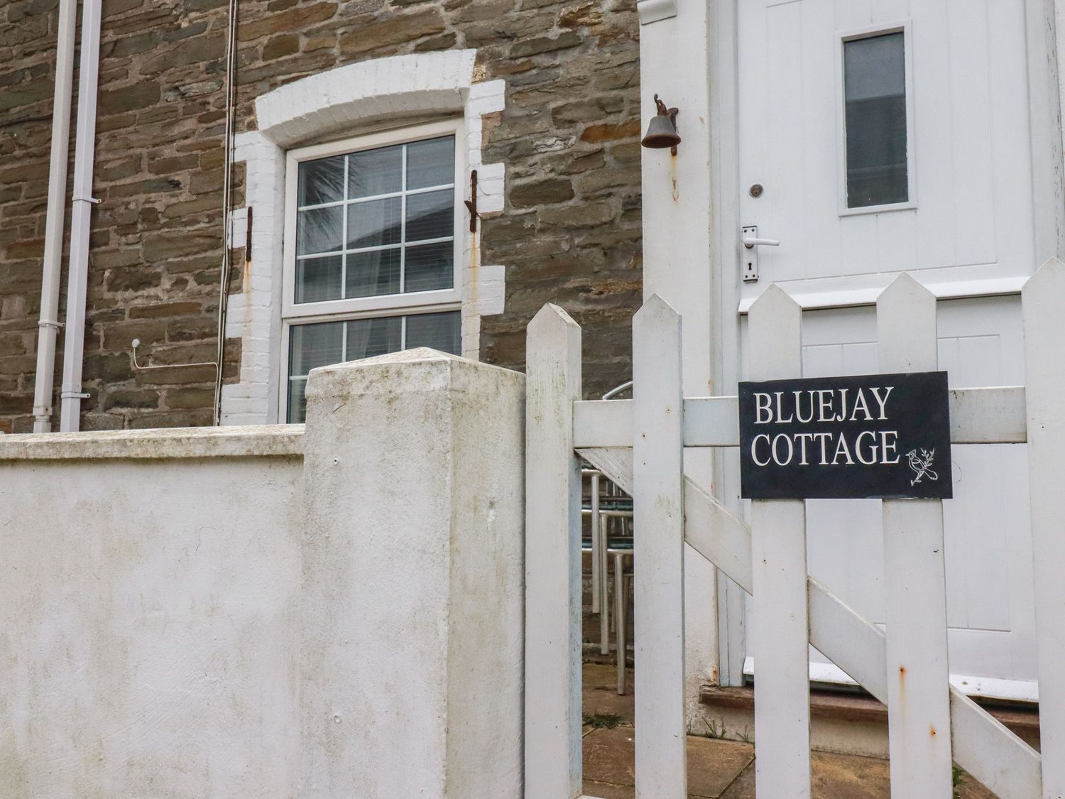Bluejay                     photo 2