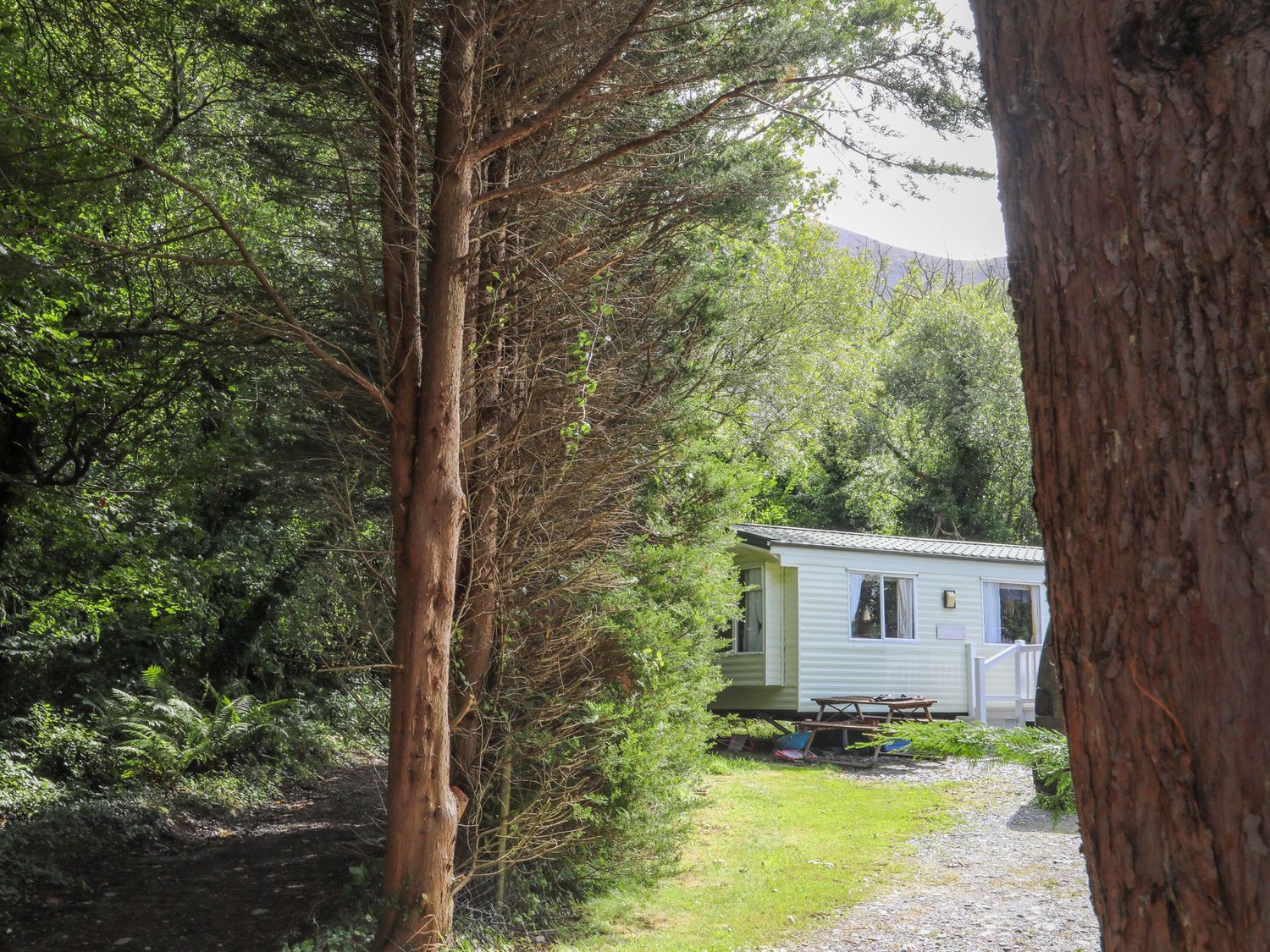 The Lodge at Tal Eryr - North Wales - 1158655 - photo 1